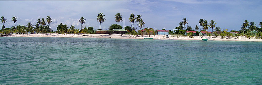 Beach on island of Saona, Dominican Republic
