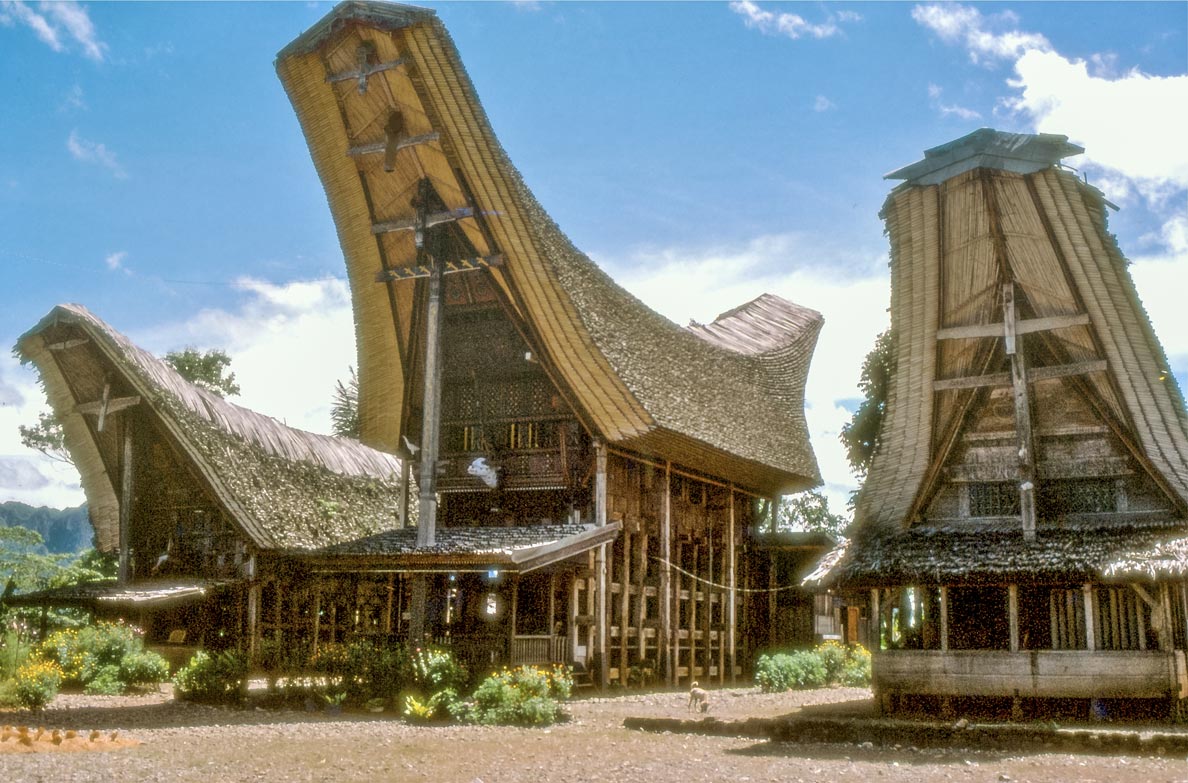 Tana Toraja Traditional houses in South Sulawesi, Indonesia.