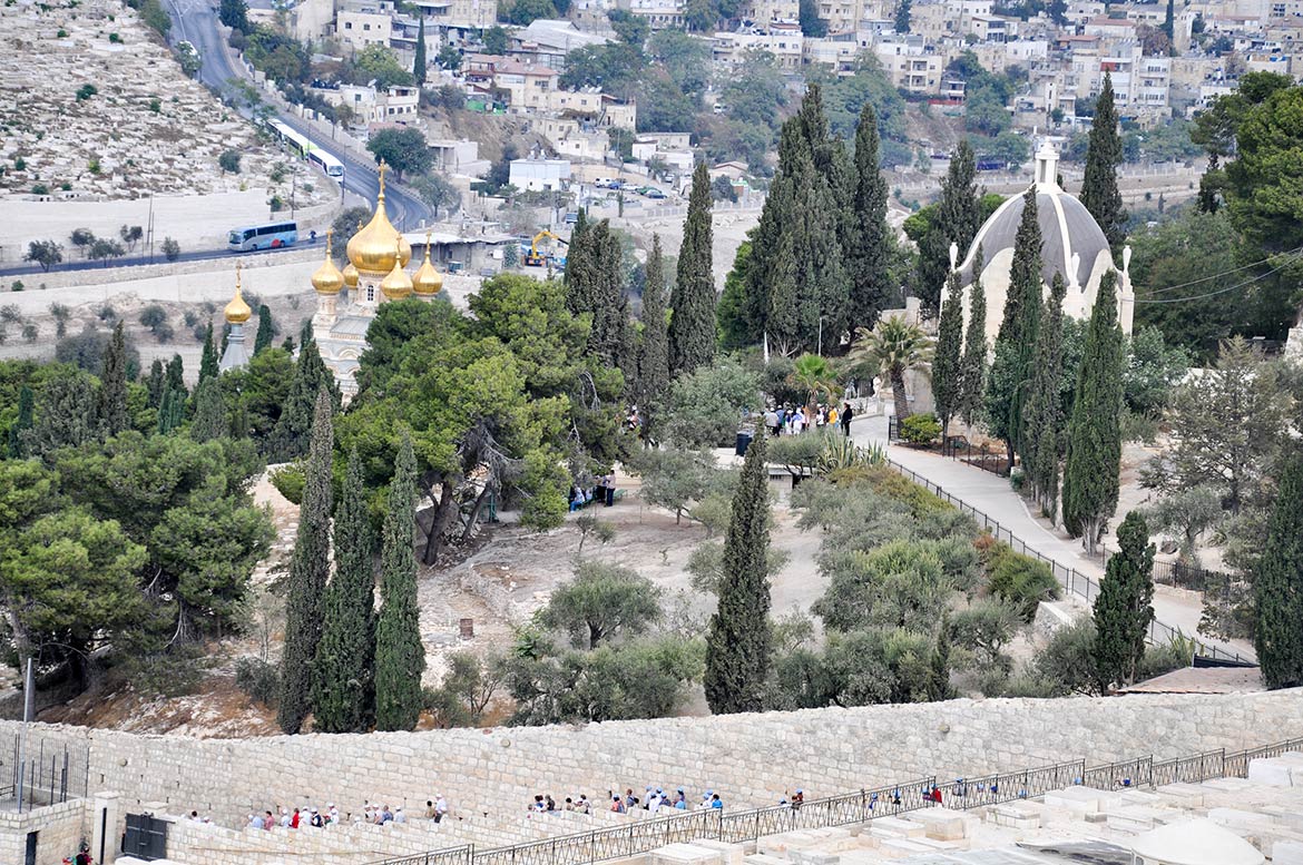 Garden of Gethsemane seen from Mount of Olives,  Jerusalem 