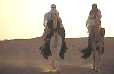 riders in Sahara