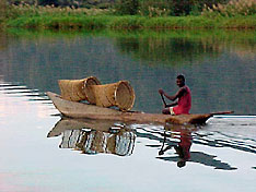 Dogout Canoe
