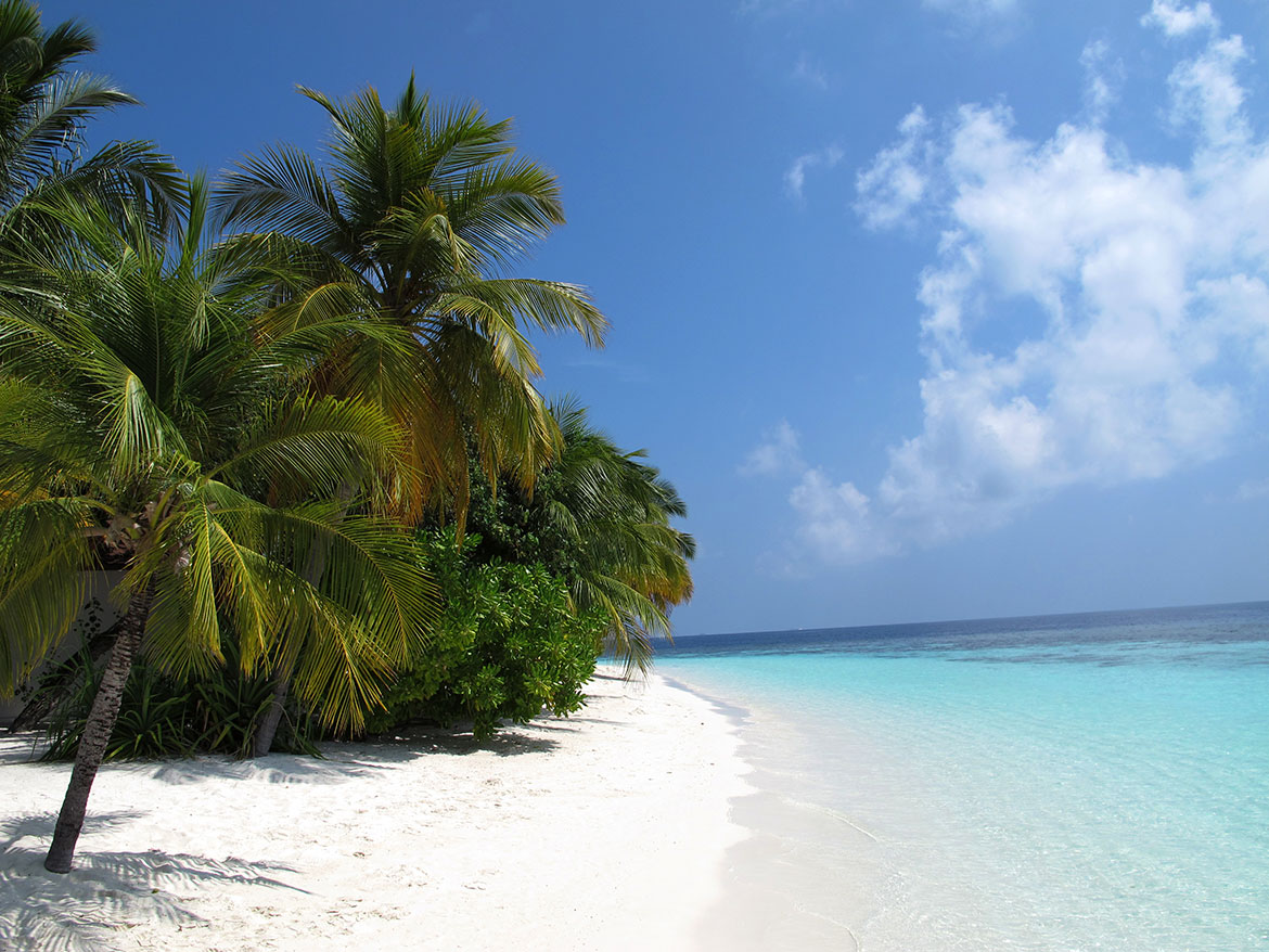 White sandy beaches of Maldives