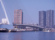 Rotterdam- South-Holland