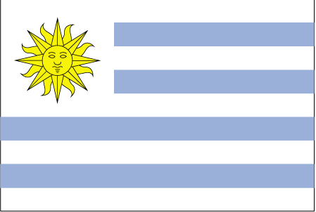 flag with a sun in the corner