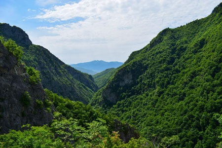 Primeval forests covers the Gashi River Valley in Albania