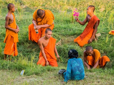 Monks harvesting rice in Cambodia.
