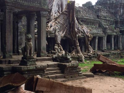 Inside Angkor Wat, roots of trees overgrowing the temples