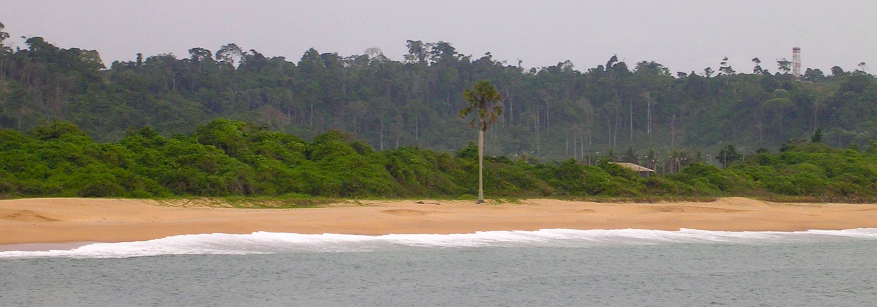 https://www.nationsonline.org/gallery/Ivory-Coast/San-Pedro-beach.jpg