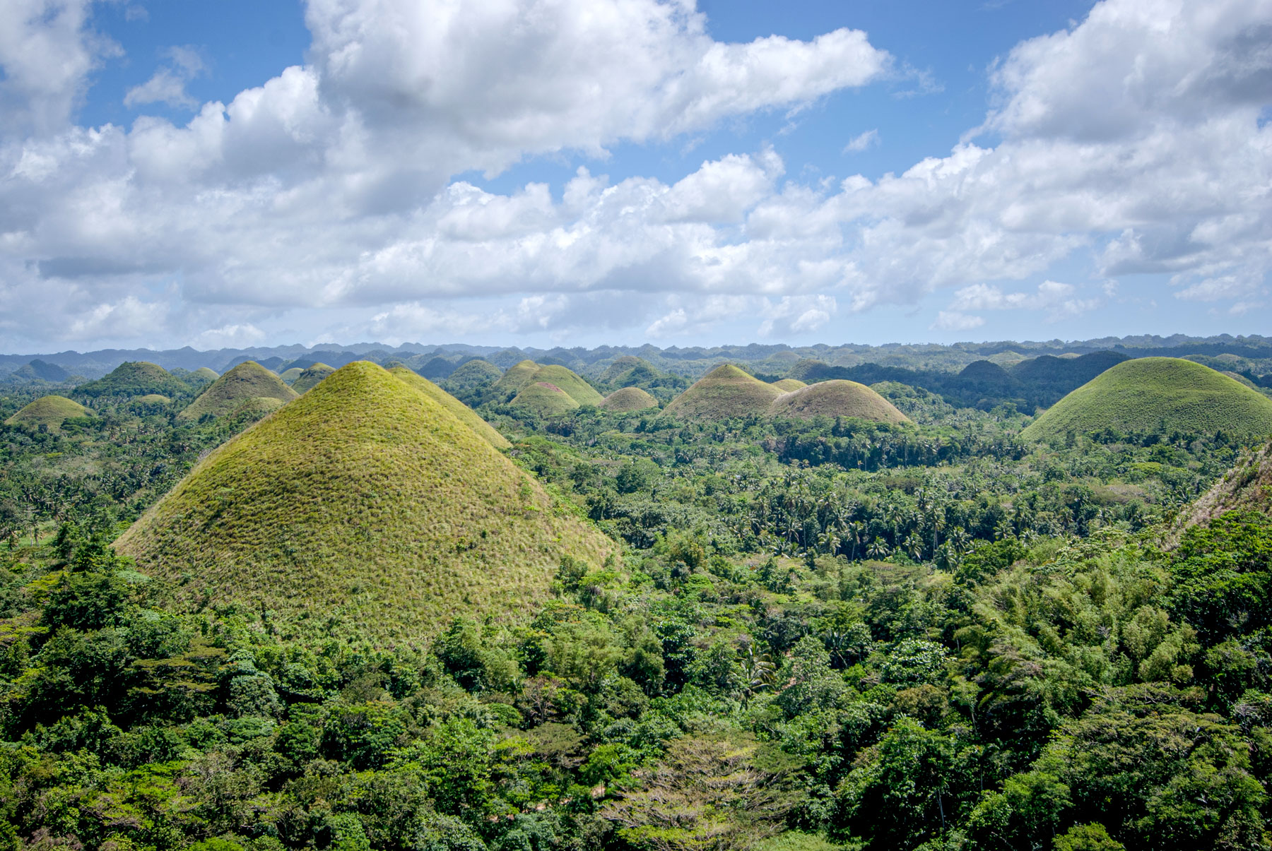 Chocolate Hills on Bohol Island