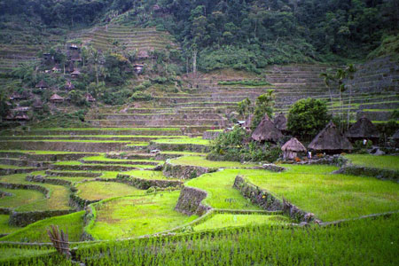 Batad rice terraces near Ifugao