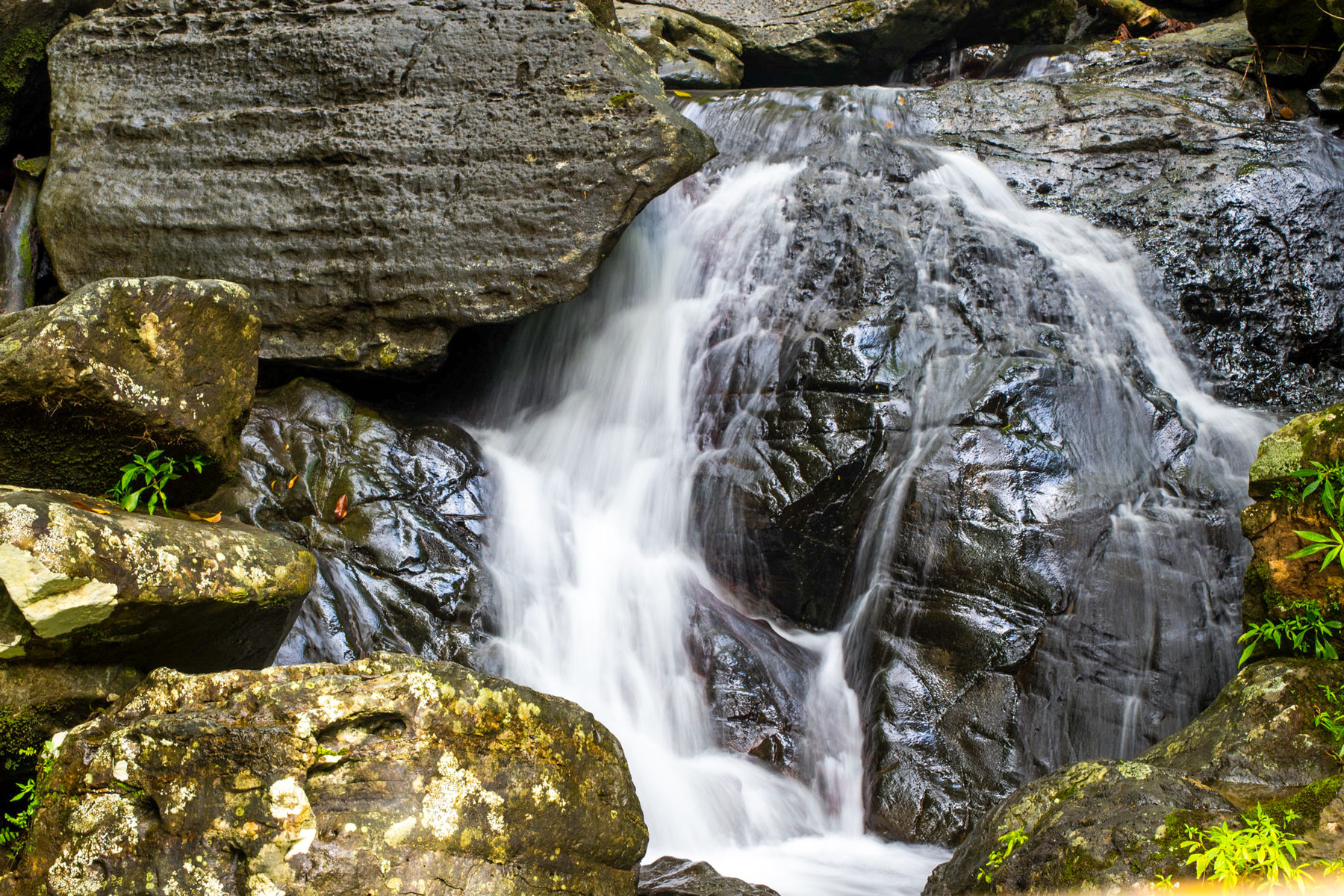 El Yunque National Park