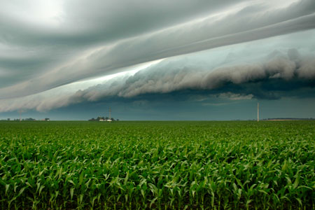 Storm Cloud over Corn fields, Illinois