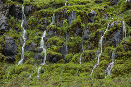 Waterfall in Umatilla National Forest