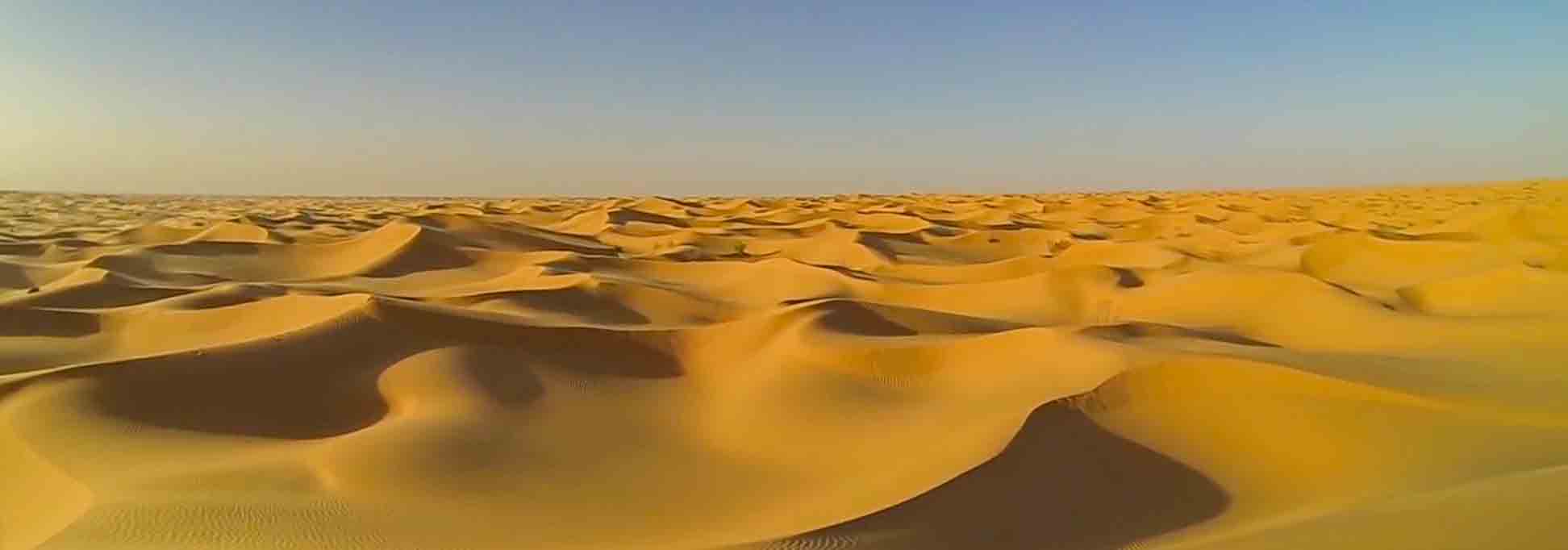 サハラ砂漠のアルジェリアの砂丘 