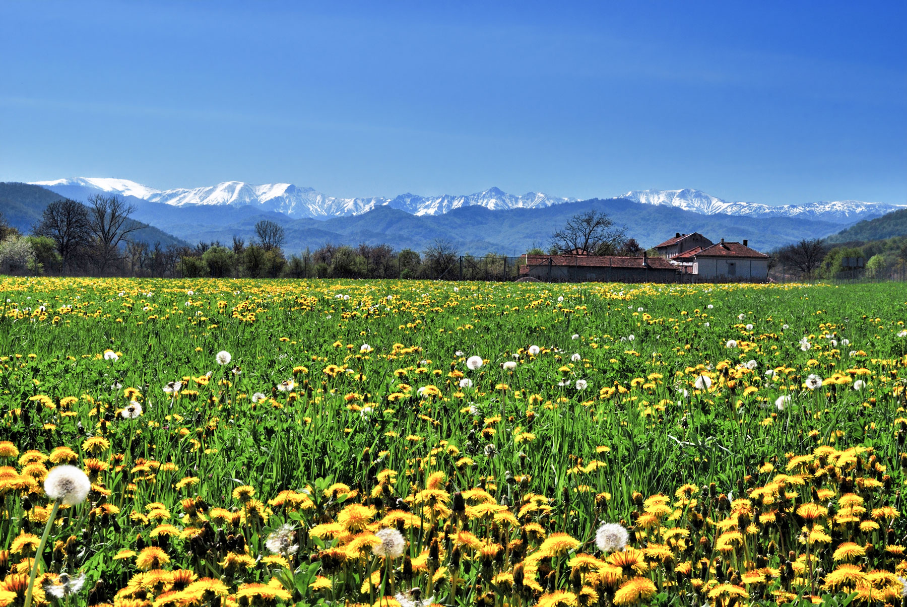 View of the Balkan Mountain range from the Central Balkan National Park,
